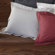 Coyuchi Swiss Dot Sham