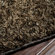 Surya Rug Taz Chocolate Rug