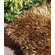 Foreign Accents Elementz Fettuccine Gold Rug