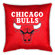 Sports Coverage Inc. NBA Sidelines Pillow