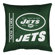 Sports Coverage Inc. NFL Toss Pillow