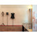 FontanaArte Luminator Floor Lamp