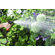 Claber Spray Pistol
