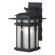 Kenroy Home Carrington 1 Light Small Lantern