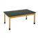 Diversified Woodcrafts Plain Apron Science Table With Phenolic Resin Top
