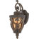 Quoizel French Quarter Outdoor Wall Lantern
