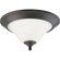 Progress Lighting Trinity 1 Light Flush Mount