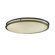 Thomas Lighting Flush Mount