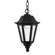 Hinkley Lighting Manor House Hanging Lantern in  Black