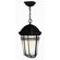 Hinkley Lighting Buckley Outdoor Hanging Lantern