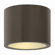 Hinkley Lighting Luna One Light Outdoor Flush Mount
