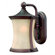 Hinkley Lighting Thistledown 13" Outdoor Wall Lantern