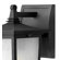 Hinkley Lighting Pearl Outdoor Wall Lantern in Black with Energy Saving Option