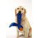 Doggles Ears Dog Toy in Orange