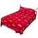 College Covers Nebraska Printed Sheet Set in Solid