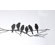 ferm LIVING Lovebirds Wall Sticker in Black
