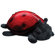 Cloud B Twilight Ladybug