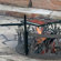 P & D Metal Works Northwoods Fire Ring