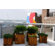 Diamond Teak Cubed Box Planter