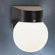 Kichler Outdoor Plastic Wall Sconce in Black