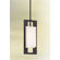 Troy Lighting Blade  Fluorescent Pendant in Forged Iron