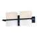 Troy Lighting Blade  Vanity Light in Forged Iron