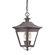 Troy Lighting Oxford  Hanging Lantern