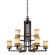 Troy Lighting Ranier 9 Light Chandelier