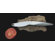 mono Mono Tools Tomato Knife by Michael Schneider