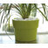 Vondom Fang Vaso Lacquered Round Flower Pot Planter