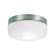 TransGlobe Lighting Round Flush Mount