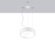 Zaneen Lighting Cyclos One Light Pendant