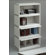 Iceberg Enterprises SnapEase Stackable Shelf File in Platinum