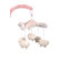 Cotton Tale Heaven Sent Girl Crib Bedding Collection