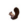 Dogzzzz Tough Chew Squirrel Dog Toy