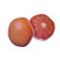 Dogzzzz Tough Chew Grapefruit Dog Toy