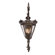 Varaluz Recycled Corsica Outdoor Light
