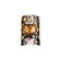 Varaluz Fascination Outdoor 2 Light Wall Bracket