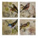 IMAX Kincaid Bird Canvas Wall Art (Set of Four)