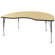 ECR4kids 48x72 Kidney Shaped Adjustable Activity Table in Maple