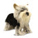 Melissa and Doug Yorkshire Terrier Plush Stuffed Animal