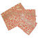 Amy Butler Safia Lingerie Envelopes in Sari Flowers Tomato