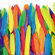 Chenille Kraft Company Duck Quills