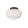 Monte Carlo Fan Company One Light Schoolhouse Ceiling Fan Light Kit