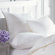 Downright Lyocell Hungarian Goose Down Pillow in White