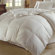 Downright HIMALAYA 800 White Goose Down Comforter