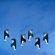 Flensted Mobiles Penguin in Tails Mobile