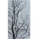 nuLOOM Pop Tree Branches Grey Rug