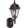 Forte Lighting One Light Outdoor Lantern with Clear Glass Shade