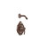 Moen Vestige Posi-Temp Pressure Balance Shower